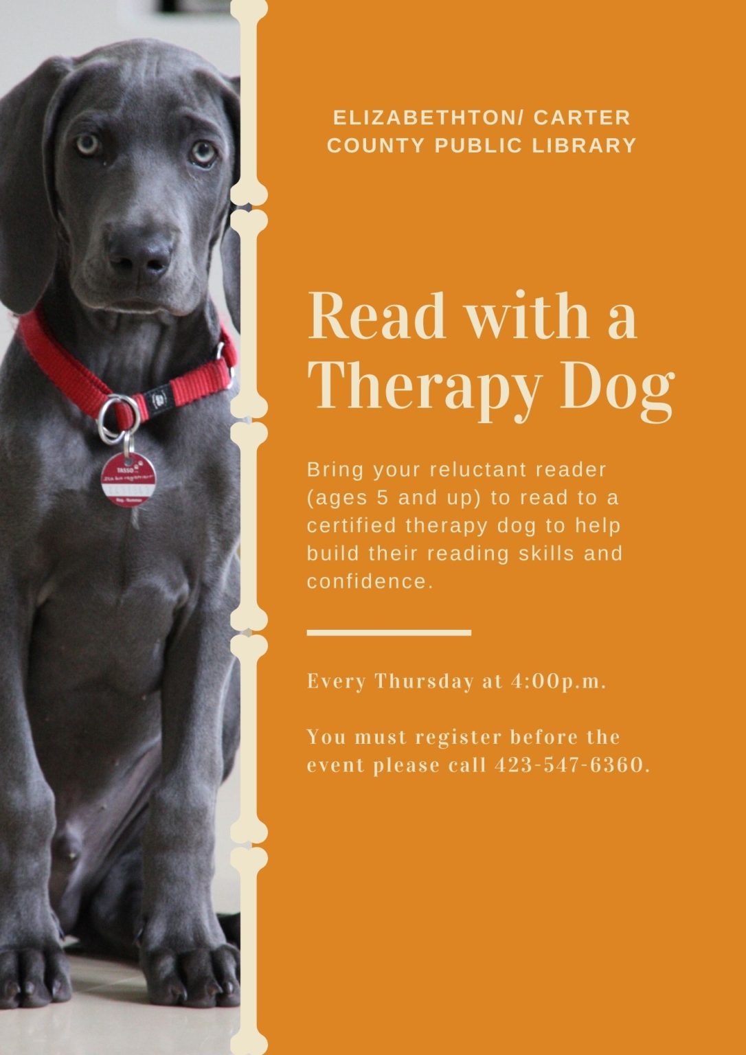 read-with-a-therapy-dog-elizabethton-carter-county-public-library